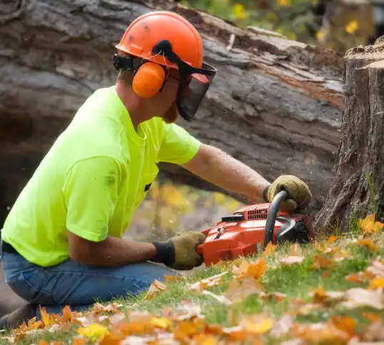 tree services St. Martinville